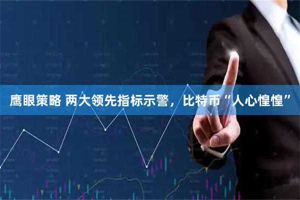 鹰眼策略 两大领先指标示警，比特币“人心惶惶”