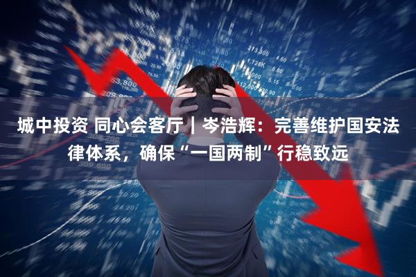 城中投资 同心会客厅｜岑浩辉：完善维护国安法律体系，确保“一国两制”行稳致远