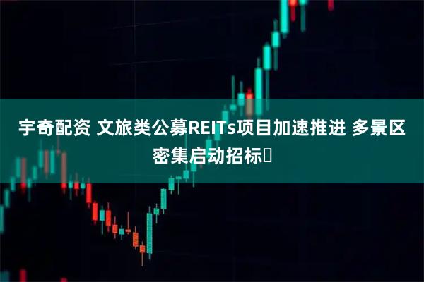宇奇配资 文旅类公募REITs项目加速推进 多景区密集启动招标​